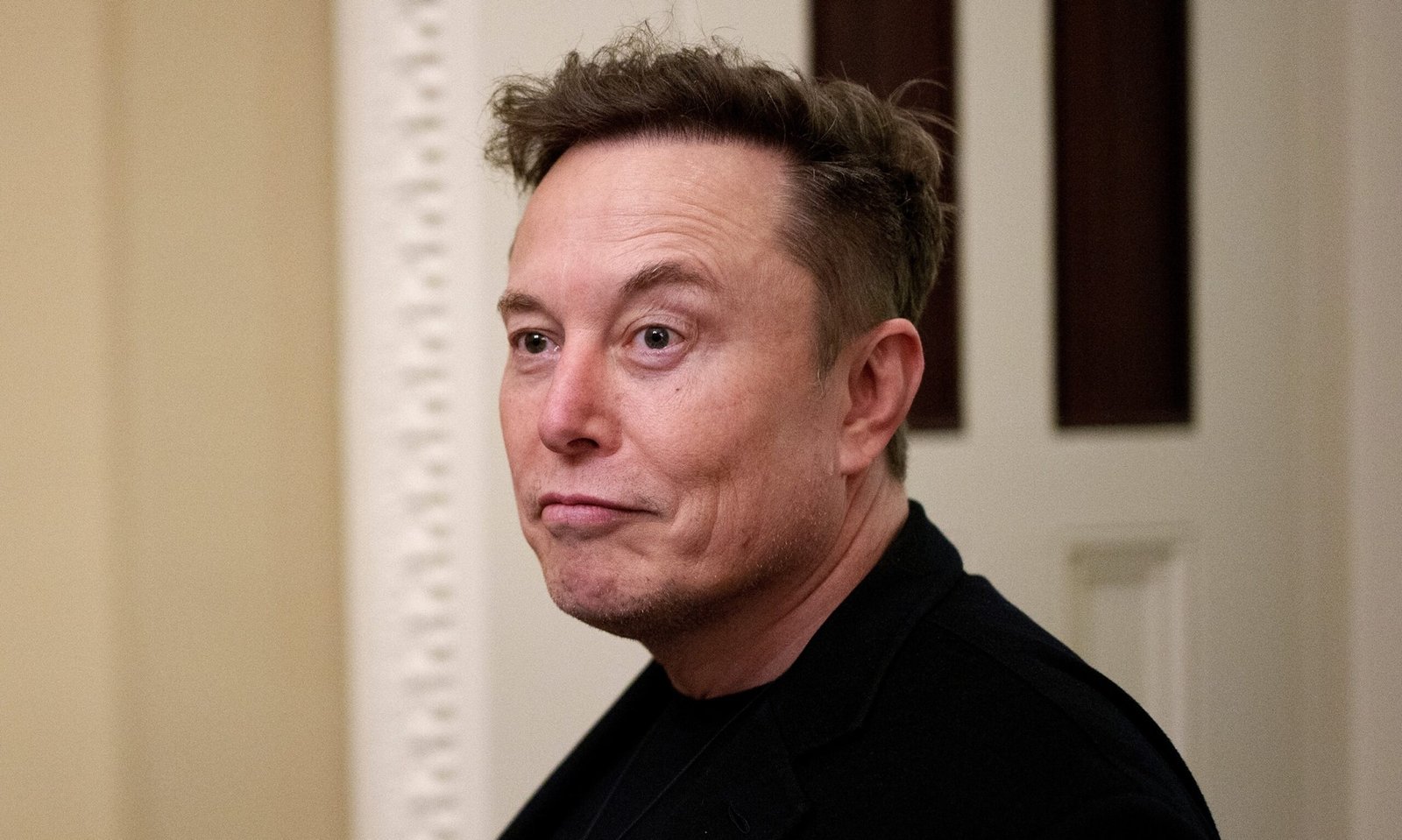 Trump tells the members of the cabinet that are in charge, no Musk: Fuentes
